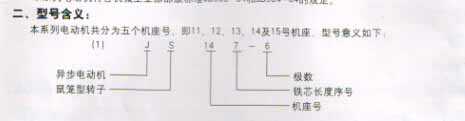 JS電機(jī)(6kV、10kV)(圖1)