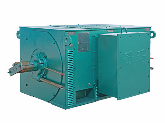 西瑪電機(jī)Y系類(lèi)IP23髙壓三相電壓異步電動(dòng)機(jī)