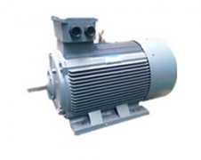 榆林高壓電機(jī)配YE3電機(jī)件價(jià)格喜迎顧客