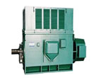 西瑪YR系列(H355-10電機(jī)00)高壓三相異步西瑪電機(jī)