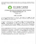 收購最頂尖輪轂西瑪電機(jī)電機(jī)廠技術(shù) 恒大“頂配”造車天團(tuán)