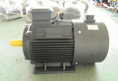 影響高效節(jié)能電機(jī)直流電機(jī)的效率的因素有哪些？