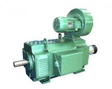 山東高壓電機(jī)專(zhuān)用電機(jī)配件生產(chǎn)廠(chǎng)家