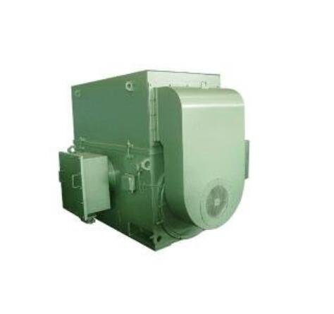 西安泰富西瑪電機(jī)  YJTFKK4002-8  250kw 380V 變頻電機(jī)